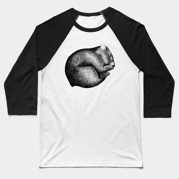 Wombat sleeping Baseball T-Shirt by AirDrawn